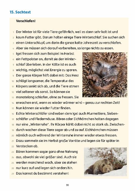 InsideView 6