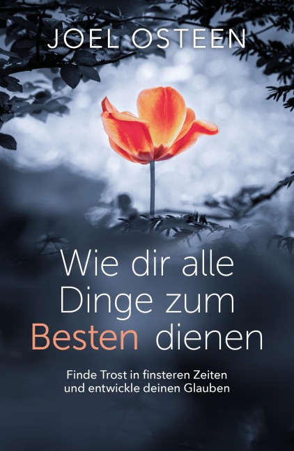 Wie dir alle Dinge zum Besten dienen - Joel Osteen