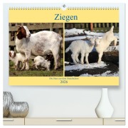 Ziegen - Die Stars aus dem Streichelzoo (hochwertiger Premium Wandkalender 2026 DIN A2 quer), Kunstdruck in Hochglanz - Arno Klatt