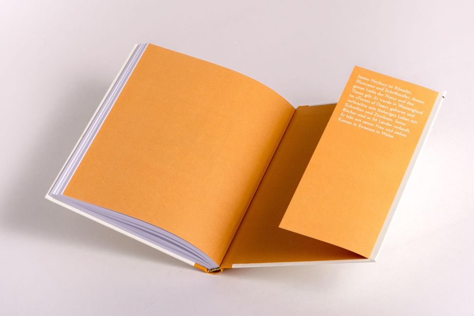 InsideView 5