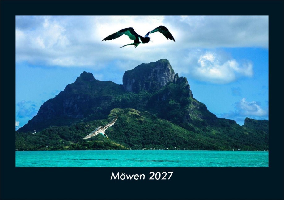 Möwen 2027 Fotokalender DIN A5 - Tobias Schmitt, Kevin Heber