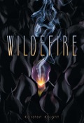 Cover-Bild zum Titel 'Wildefire' von 'Karsten Knight'