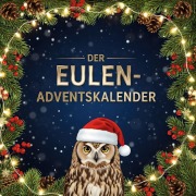 Cover-Bild zum Titel 'Der Eulen-Adventskalender' von 'Hannah Maier'
