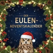 Cover-Bild zum Titel 'Der Eulen-Adventskalender' von 'Hannah Maier'