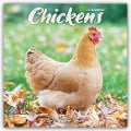 Chickens - Hühner 2025 - 16-Monatskalender - Avonside Publishing Ltd