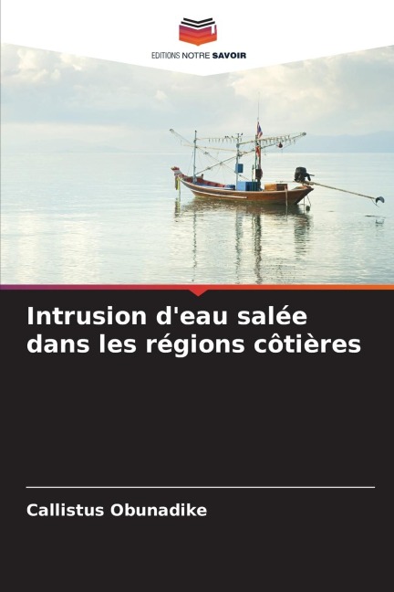 Intrusion d'eau salée dans les régions côtières - Callistus Obunadike