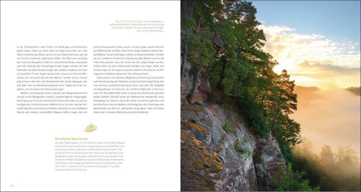 InsideView 5