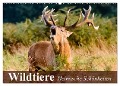 Wildtiere. Heimische Schönheiten (Wandkalender 2025 DIN A2 quer), CALVENDO Monatskalender - Elisabeth Stanzer