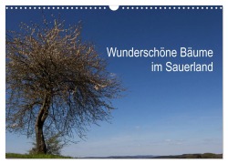 Cover-Bild zum Titel 'Wunderschöne Bäume im Sauerland (Wandkalender 2026 DIN A3 quer), CALVENDO Monatskalender' von 'Simone Rein'