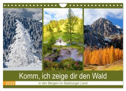 Komm, ich zeige dir den Wald (Wandkalender 2025 DIN A4 quer), CALVENDO Monatskalender - Christa Kramer