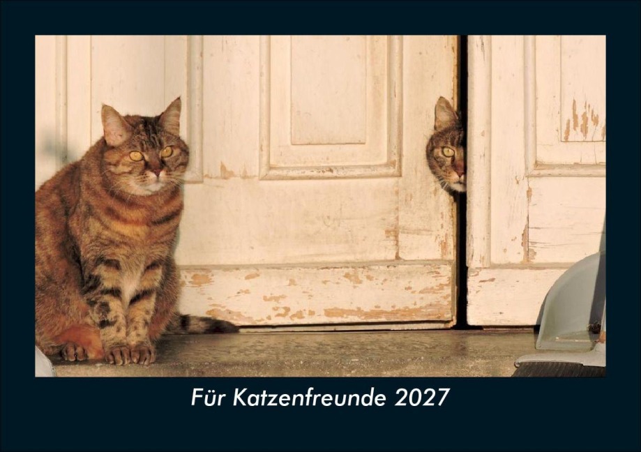 Für Katzenfreunde 2027 Fotokalender DIN A5 - Tobias Schmitt, Kevin Heber