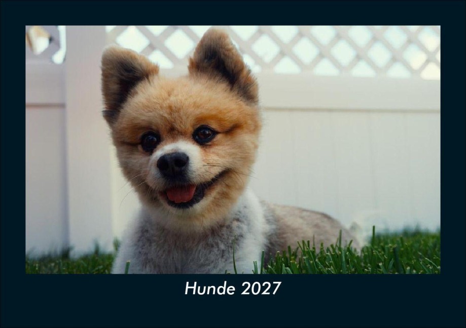 Hunde 2027 Fotokalender DIN A5 - Tobias Schmitt, Kevin Heber
