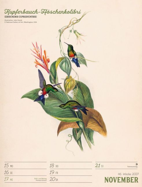 InsideView 50