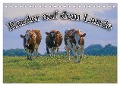 Rinder auf dem Lande (Tischkalender 2024 DIN A5 quer), CALVENDO Monatskalender - Bildagentur Geduldig