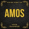Cover-Bild zum Titel 'The Holy Bible - Amos' von 'King James'