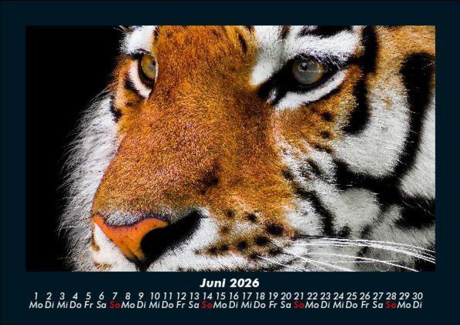InsideView 10