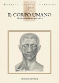 Il corpo umano. Tavole anatomiche per artisti - 