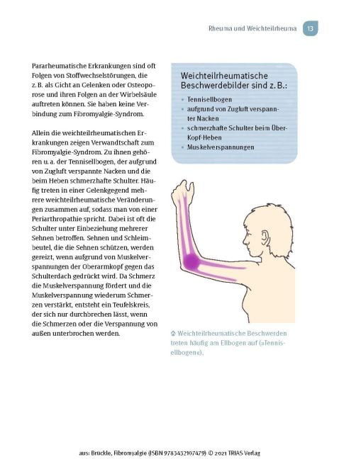 InsideView 6