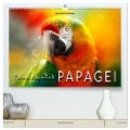 Mein bunter Papagei (hochwertiger Premium Wandkalender 2025 DIN A2 quer), Kunstdruck in Hochglanz - Peter Roder