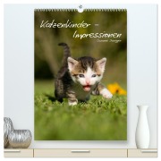 Cover-Bild zum Titel 'Katzenkinder - Impressionen (hochwertiger Premium Wandkalender 2026 DIN A2 hoch), Kunstdruck in Hochglanz' von 'Susanne Danegger'