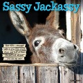 Sassy Jackassy 2024 12 X 12 Wall Calendar - Willow Creek Press