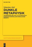 Cover-Bild zum Titel 'Dunkle Metaphysik' von 'Sebastian Abel'