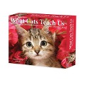 What Cats Teach Us 2025 6.2 X 5.4 Box Calendar - Willow Creek Press