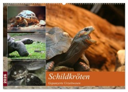 Cover-Bild zum Titel 'Schildkröten - Gepanzerte Urzeitwesen (Wandkalender 2026 DIN A2 quer), CALVENDO Monatskalender' von 'Barbara Mielewczyk'
