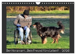 Cover-Bild zum Titel 'Der Hovawart... Dein Freund fürs Leben ! (Wandkalender 2026 DIN A4 quer), CALVENDO Monatskalender' von 'Jens Siebert'