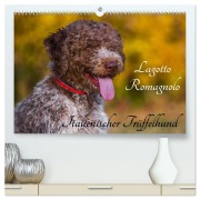 Cover-Bild zum Titel 'Lagotto Romagnolo - Italienischer Trüffelhund (hochwertiger Premium Wandkalender 2026 DIN A2 quer), Kunstdruck in Hochglanz' von 'Sigrid Starick'