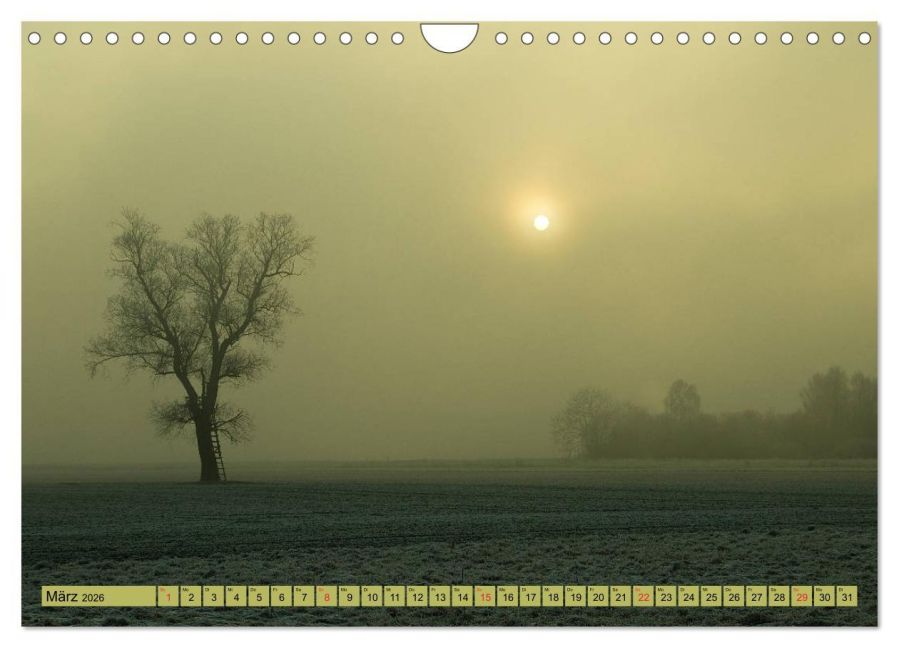 InsideView 8