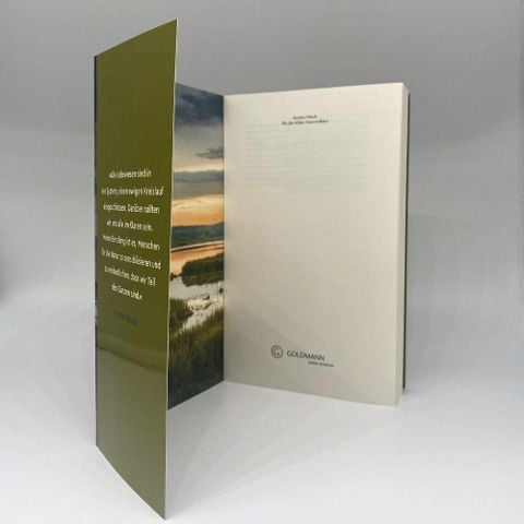 InsideView 4