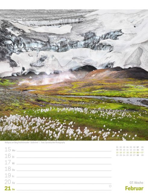 InsideView 11