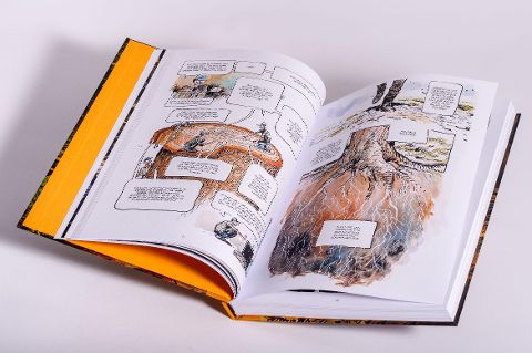 InsideView 13