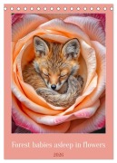 Cover-Bild zum Titel 'Forest babies asleep in flowers (Desk Calendar 2026 DIN A5 portrait), CALVENDO 12 Month DeskCalendar' von 'Fred Schimak'