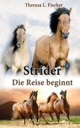 Cover-Bild zum Titel 'Strider' von 'Theresa L. Fischer'