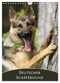 Deutscher Schäferhund (Wandkalender 2025 DIN A4 hoch), CALVENDO Monatskalender - Claudia Steininger