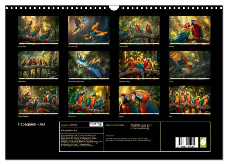 InsideView 5