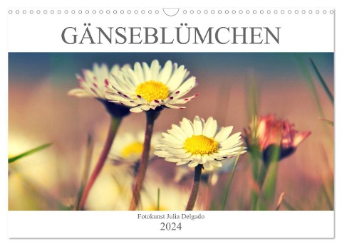 Gänseblümchen Poesie (Wandkalender 2024 DIN A3 quer), CALVENDO Monatskalender - Julia Delgado