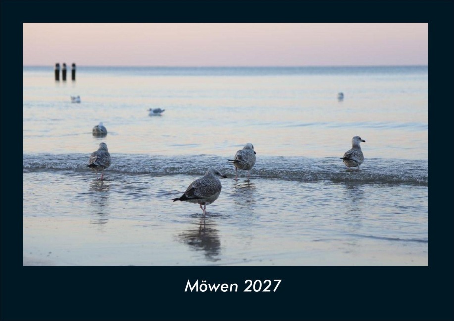 Möwen 2027 Fotokalender DIN A4 - Tobias Schmitt, Kevin Heber