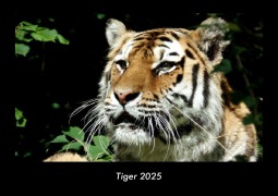 Cover-Bild zum Titel 'Tiger 2025 Fotokalender DIN A3' von 'Tobias Becker'