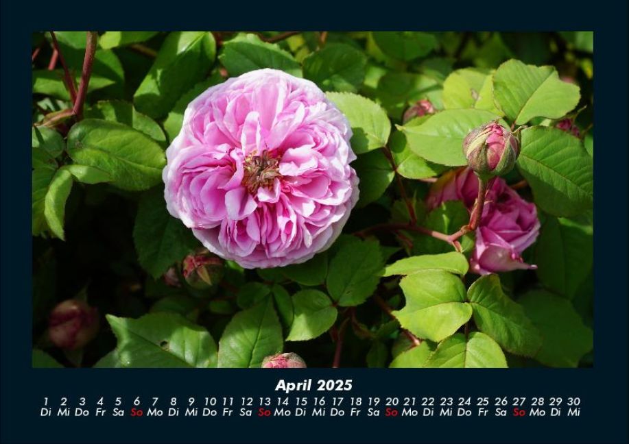 InsideView 8