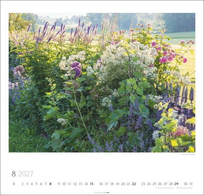 InsideView 8