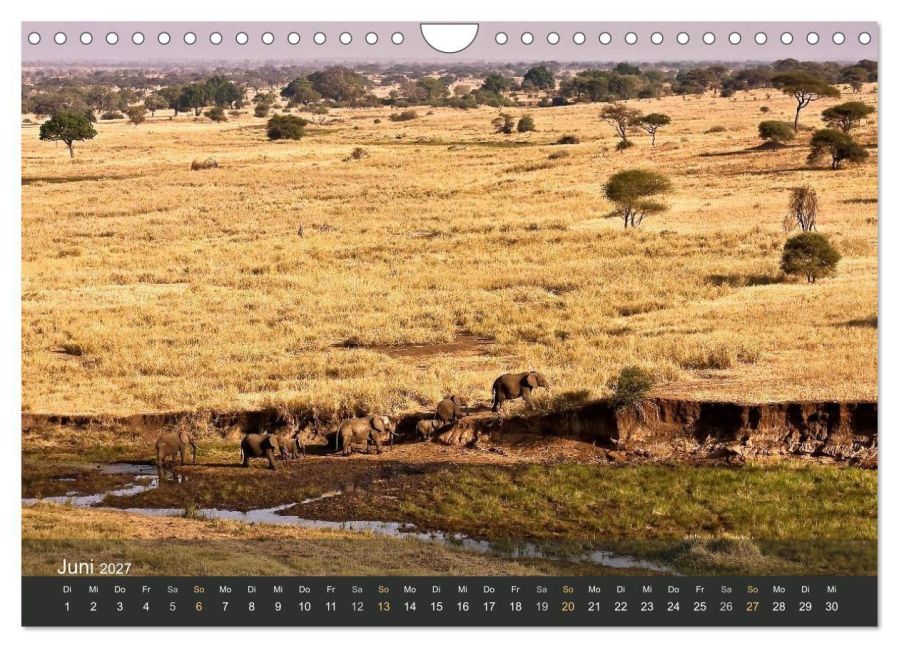 InsideView 11