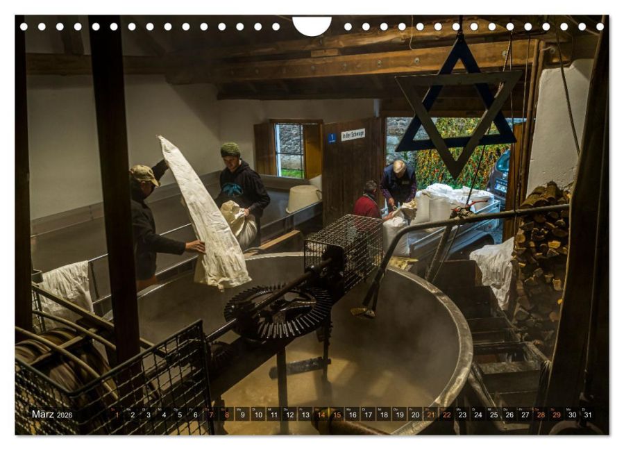 InsideView 8