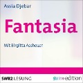 Cover-Bild zum Titel 'Fantasia' von 'Assia Djebar'