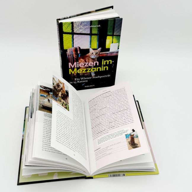 InsideView 5