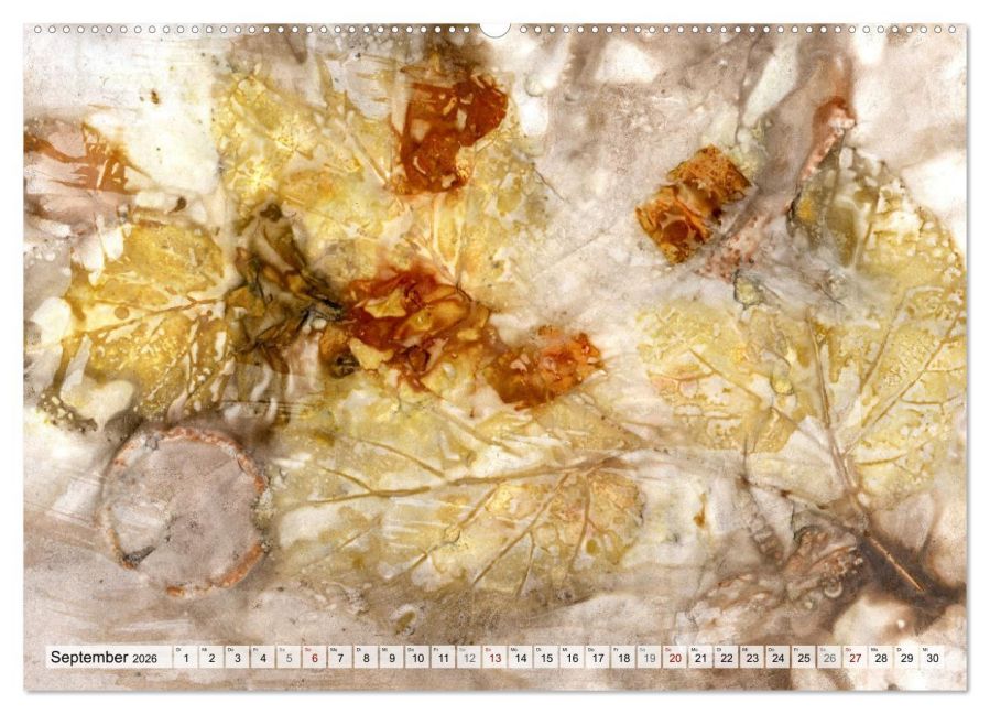 InsideView 14