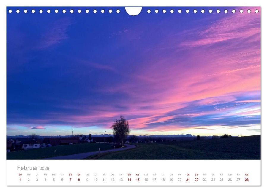 InsideView 7