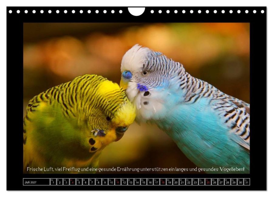 InsideView 12